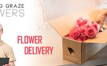 Buy Flowers From Online Store