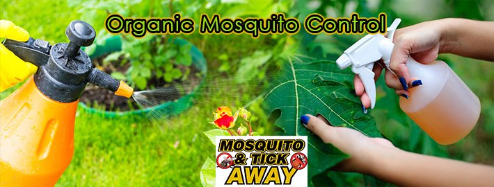 North Attleboro, MA Mosquito Control