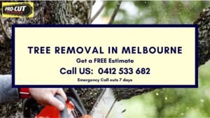 Tree removal Melbourne