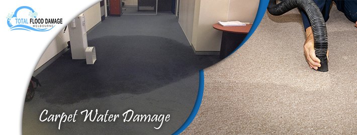 carpet water damage Melbourne