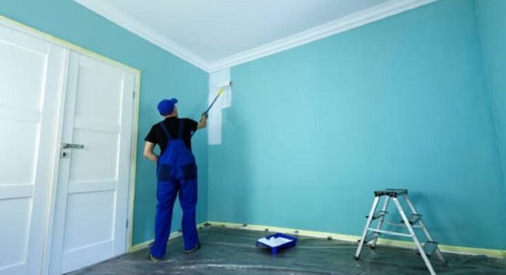 From Drab to Fab: How a House Painter in Adelaide Can Revitalise Your Home