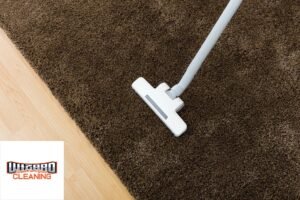 The Role of Professional Carpet Cleaning Services in Home Maintenance
